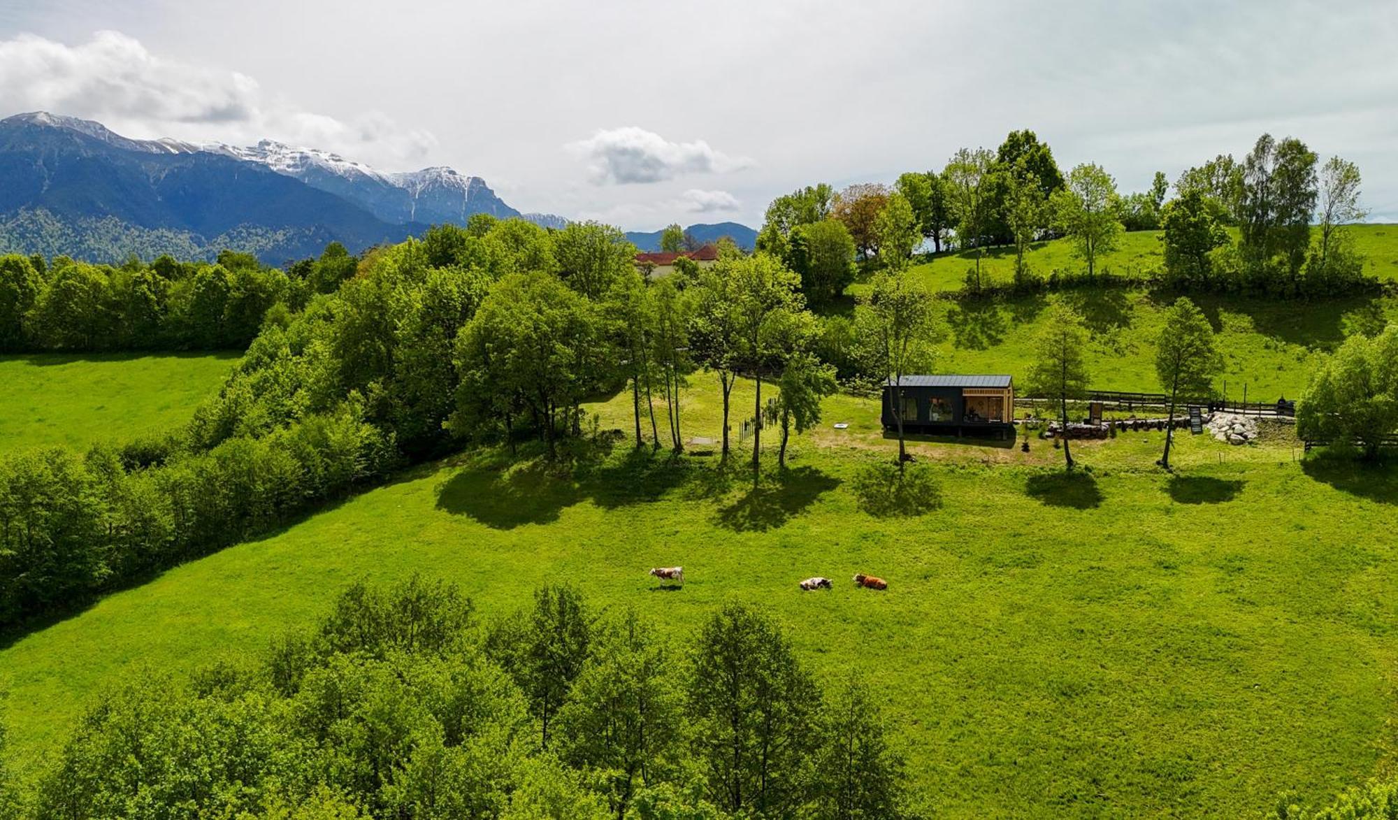 Doza De Verde Retreat&Spa Bran-Adults Only Sohodol  외부 사진
